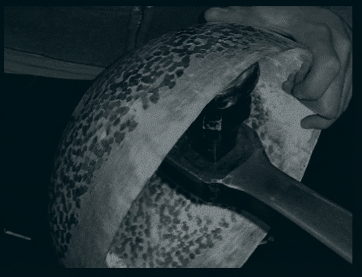 Hand hält gefleckten, runden Metallkörper; Schraubenschlüssel ist an einer Schraube angesetzt.